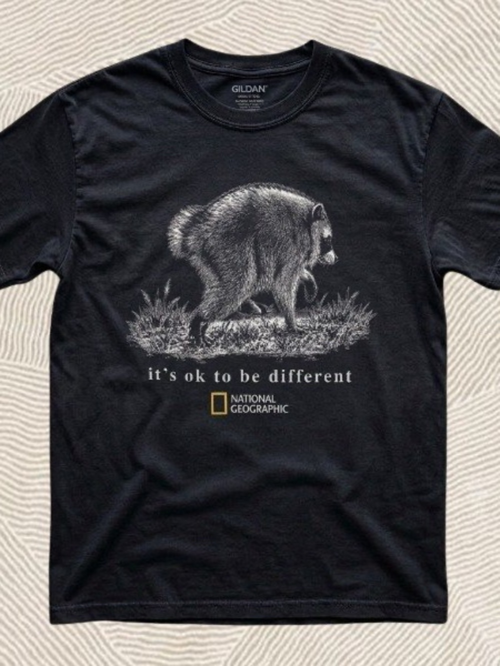 National Geographic Black Jimothy Raccoon Graphic Tee